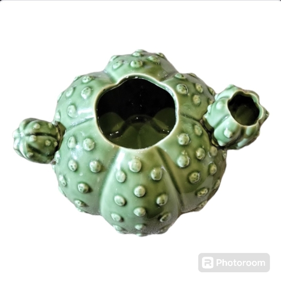 Cactus Planter Pot - Picture 5 of 6